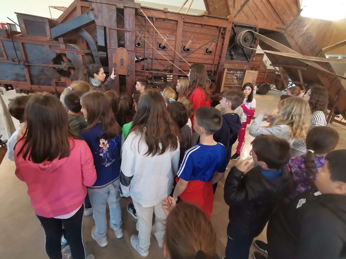 aquagraria's tweet image. Un segundo grupo de 5º de primaria del colegio @cpirosalesdelcanal nos visitó el jueves para conocer la historia de Ejea y de nuestro museo.🚜🌾

#visitasguiadas #conociendoaragon #excursiónescolar #ejea #maquinariagrícola #historia