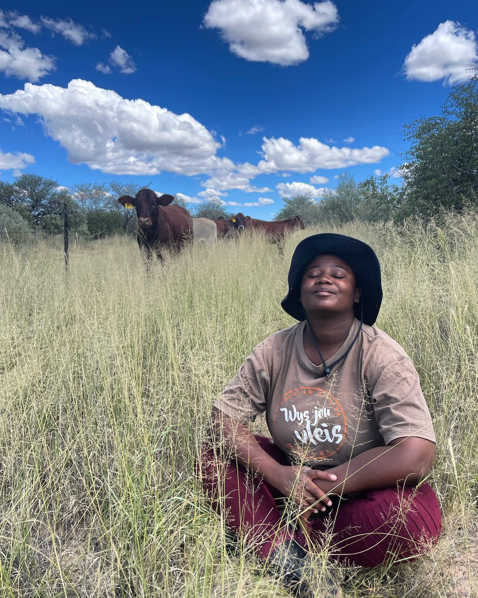 Sweetveld Farming tweet media