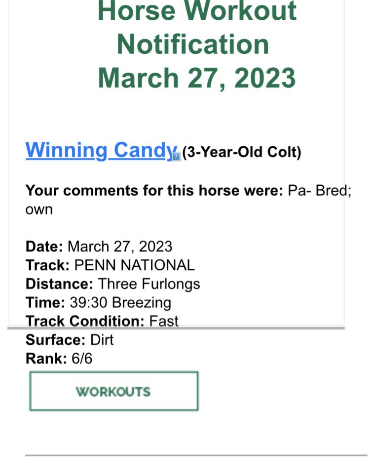 livipitch22's tweet photo. Two of my boys getting ready @parxracing & @HollywoodPenn. It’s going to be a great summer! 🤞🐎💨
@ThePewterStable @PTHA17 @PennHorseRacing @PA_PHBA #turfmonster #cityzip #winchill #candyride #pabred https://t.co/F4vyyDkfHo