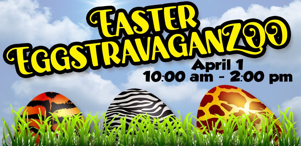 Don’t miss the Easter EggstravaganZOO event this Saturday.  Be parked and ready to fill your baskets by 9:45 am because the egg hunt starts promptly at 10:00 am and is over in a flash!  Lots of other fun activities and live entertainment are planned throughout the day.