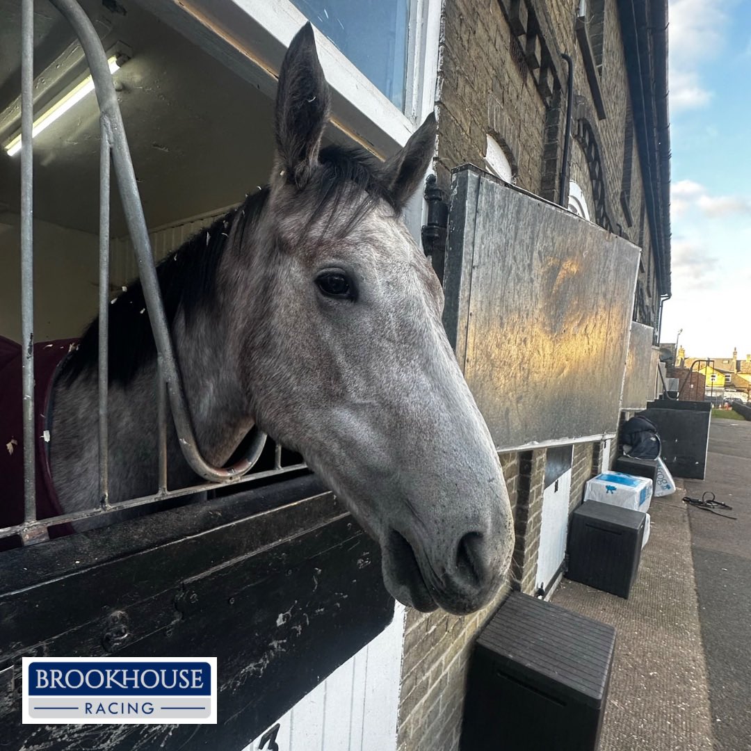 Brookhouse Racing tweet media