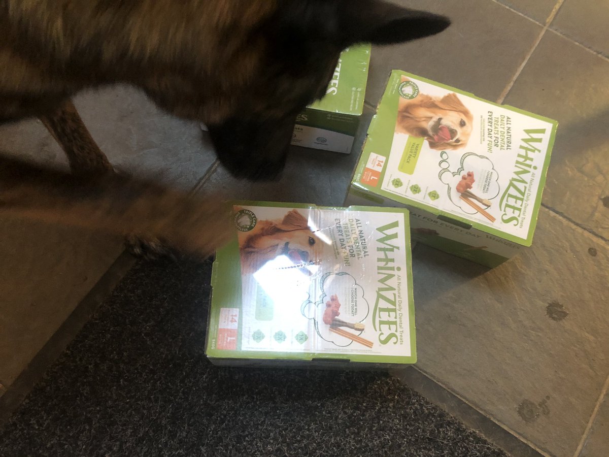 Delivery today from <a href="/wellnesspetfood/">Wellness Pet Food</a> 
It’s their favourite! #whimzies 🥰

<a href="/PBaloo/">PDBaloo</a> lay patiently waiting for hers to be opened. #littlelegs was trying to open his box and #RPDRex was dragging his around the kitchen 🤣

Excellent treats. Top ingredients. Sustainable products. 👍