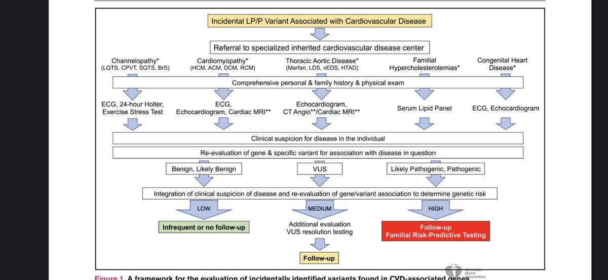 🫀🧬Interpreting Incidentally Identified Variants in Genes Associated With Heritable Cardiovascular Disease: A Scientific Statement From the American Heart Association - AHA SCIENTIFIC STATEMENT
#Cardiology #genetics #cardiogen ahajournals.org/doi/pdf/10.116…