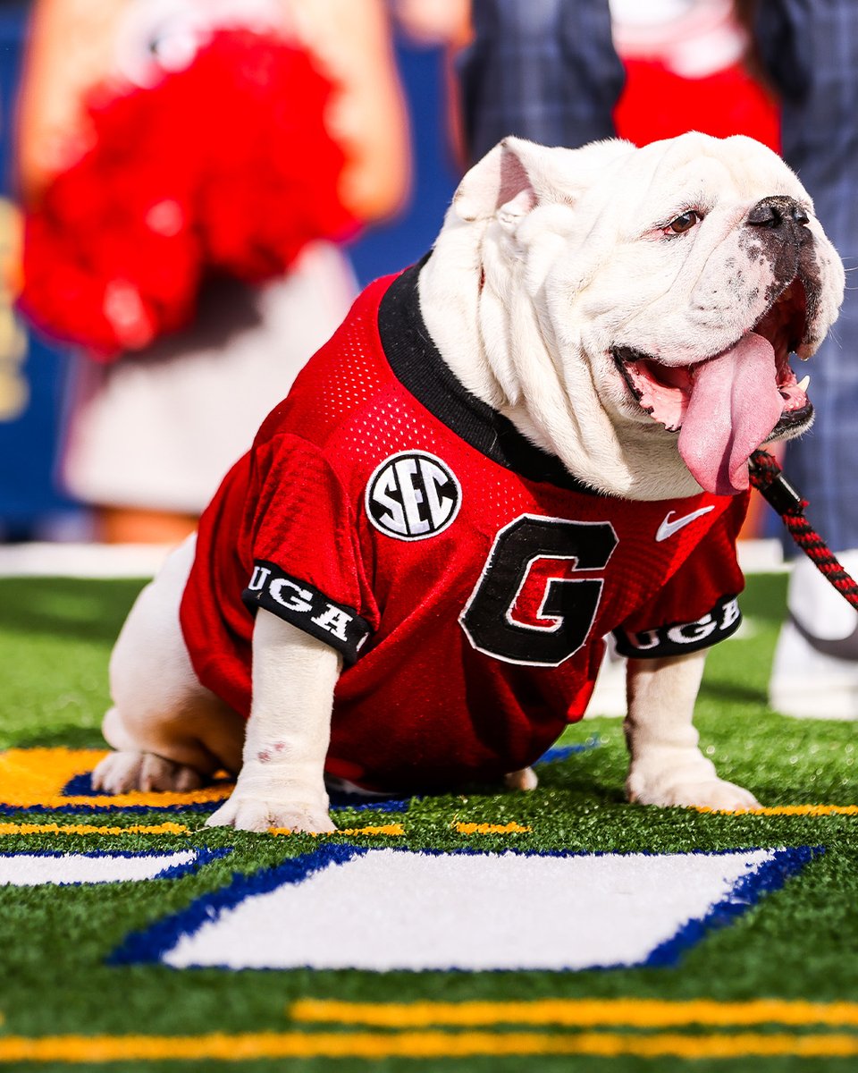 Georgia Bulldogs tweet media