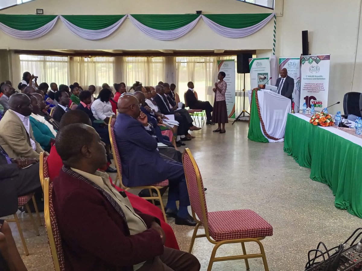 paultmv's tweet photo. "Food security is not maize, there is need to forge a sustainable food master plan based on irrigation" Dr Stephen Mbithi - Secretary, Blue Economy Resources. @kalromkulima @kilimoKE @makauj68 @FarmKenya254
#KALROat10 https://t.co/YYgYNHUe8d