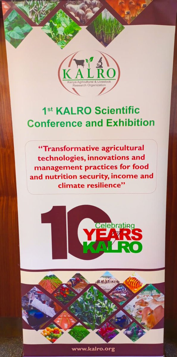 paultmv's tweet photo. "Food security is not maize, there is need to forge a sustainable food master plan based on irrigation" Dr Stephen Mbithi - Secretary, Blue Economy Resources. @kalromkulima @kilimoKE @makauj68 @FarmKenya254
#KALROat10 https://t.co/YYgYNHUe8d