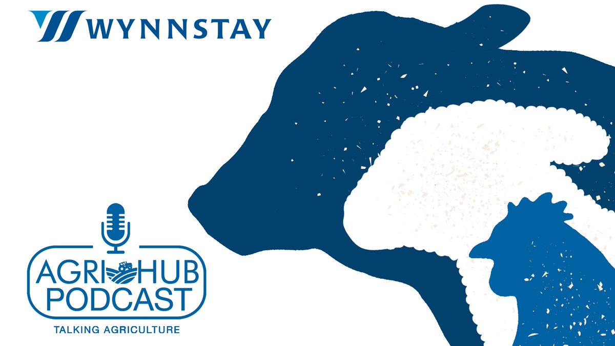 In our latest episode, we focus on  #OilseedRape and what producers can do to maximise the establishment rates of their crop. Joining us this month is Chris Guest, Managing Director of @LSPBLtd.

Listen now: bit.ly/40w1apJ