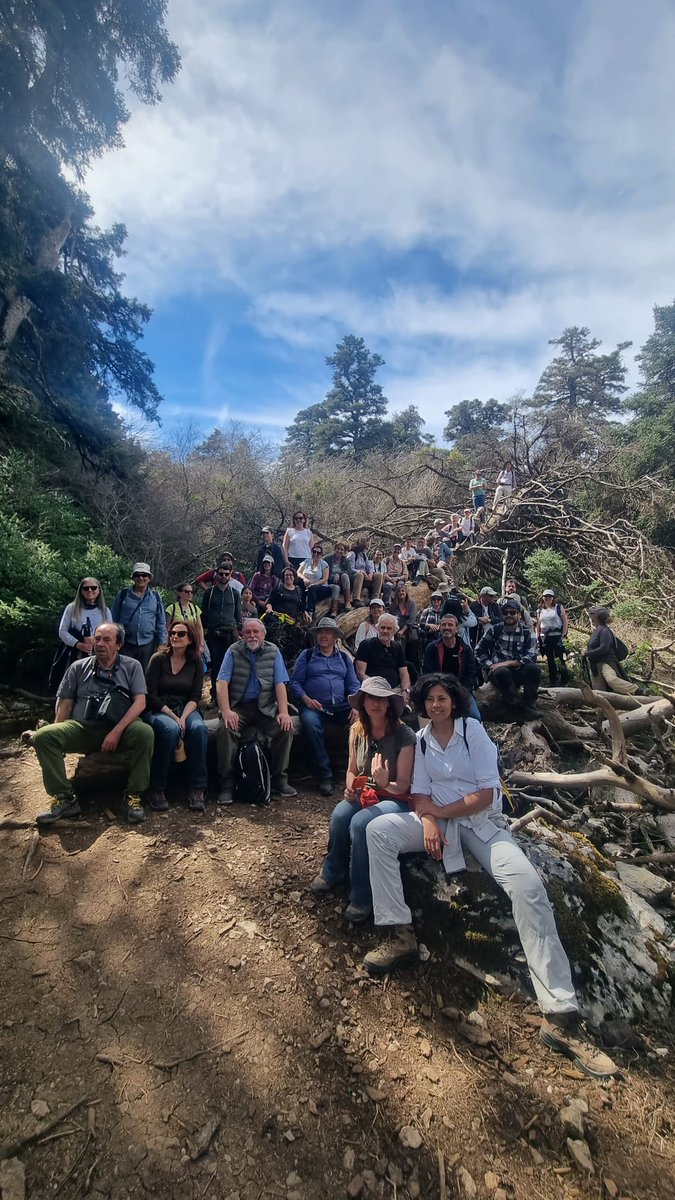 angelrm_escribe's tweet photo. Broche final en #DIB2023 en #PNSierradelasNieves descubriendo el pasado, presente y futuro del #bosque: desamortización, erosión, #restauraciónhidrológicoforestal y #aprovechamientosostenible para cuidar el #pinsapar y #pinar a través de la #GFS https://t.co/5djuIyVTtO