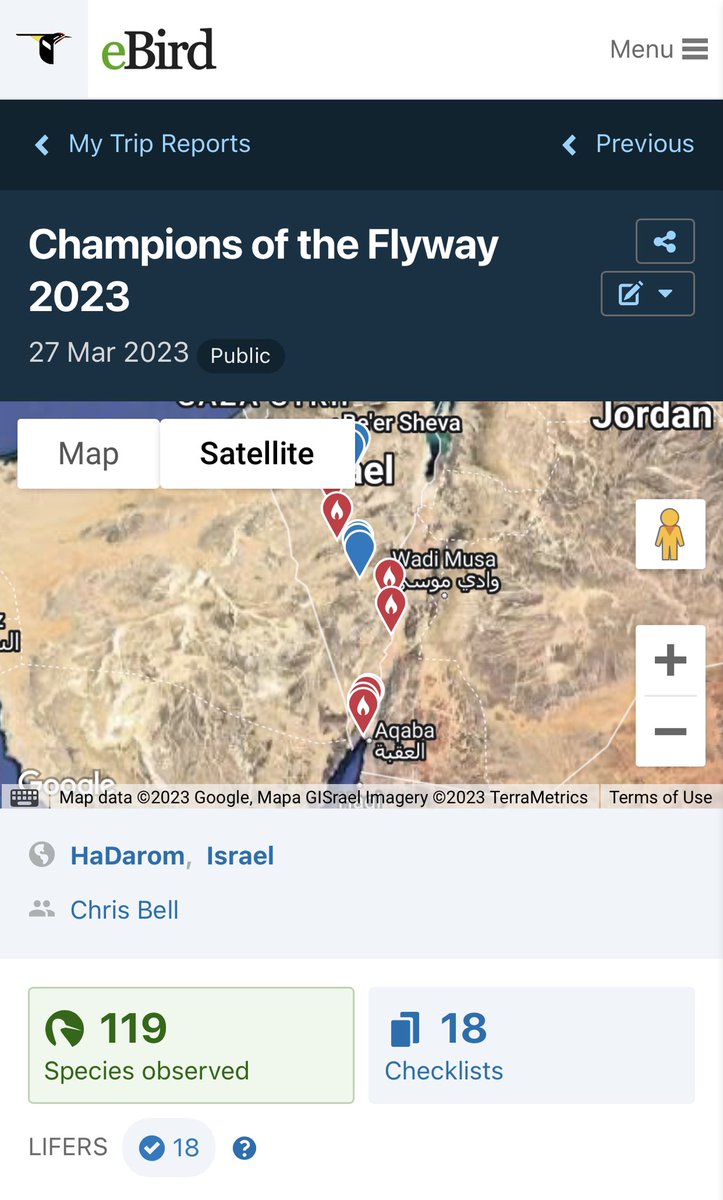 TheBirdersShow's tweet photo. 119 species at @flywaychampions 🥳 we got more species than we expected and - most importantly - we had an amazing day! #cotf23 #flywaychampions #gogeese https://t.co/3xXzR7Xdof