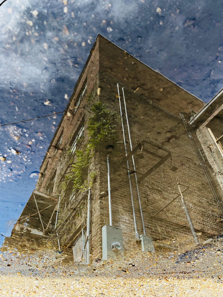 Chad_Edwardz's tweet photo. Alleyway reflections
3.27.23
Laurel, MS
.
.
#iliveinlaurel #reflectionsinwater #laurelms #reflections https://t.co/5LdXHXK3w4
