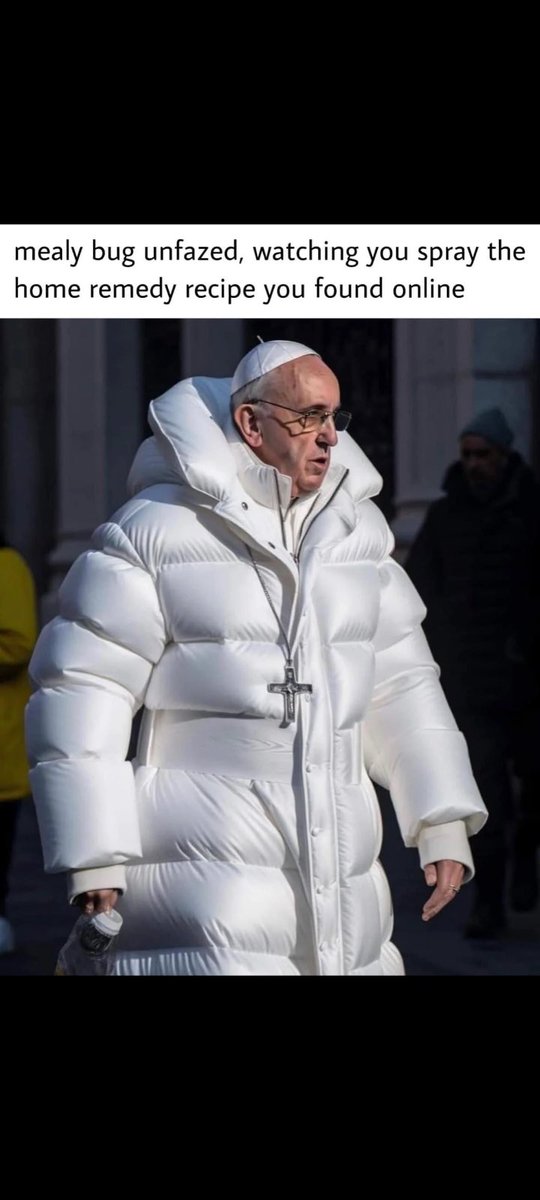 Monday Pest Humor! 
________________________________

Call today and become part
of the 🌎Adam’s Family!

1-888-959-8279
_______________________________

Follow us on FB, IG &amp; Twitter
@AdamsPestControl
adamspest.biz