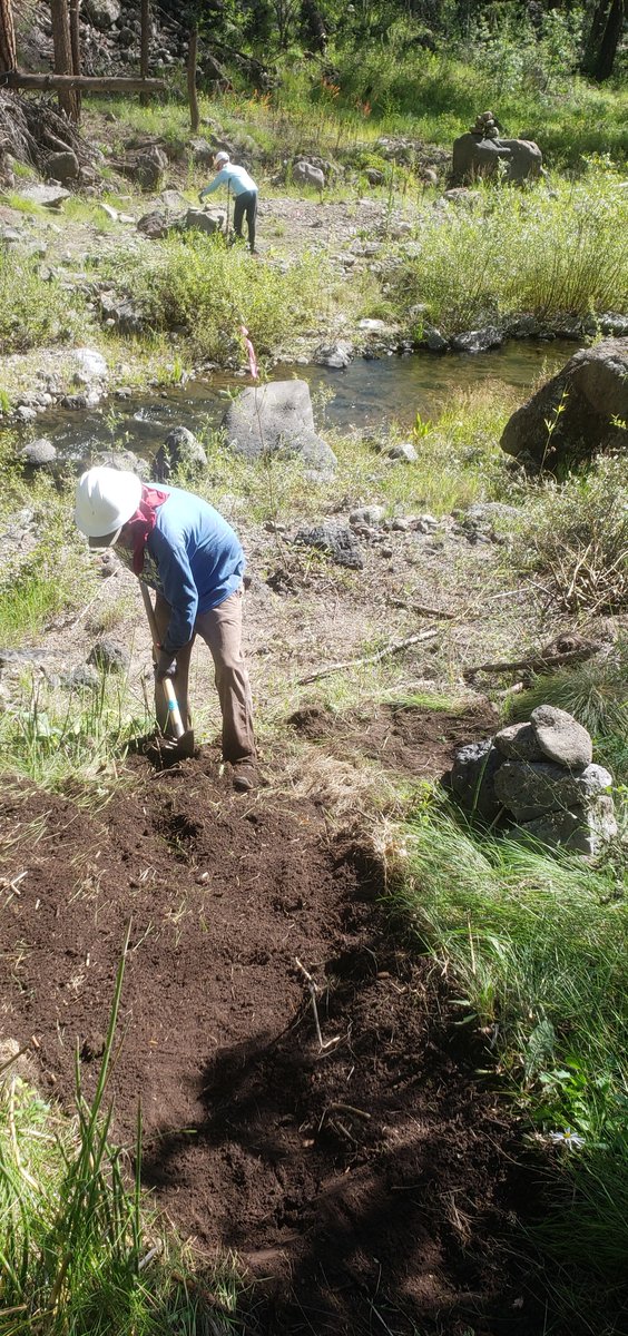 uppergila's tweet photo. Trails in the Gila Wilderness - the nation's first designated wilderness - got some TLC recently, thanks to National Forest Foundation! #NFFHealthyForests #NFFGranteesAreGreat https://t.co/Nx0YywFYqB