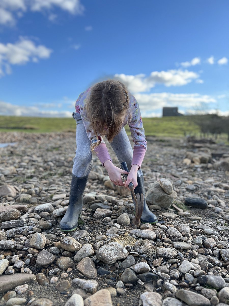 Budding naturalists, botanists, ecologists, ornithologists, hydrologists, geologists. And farmers. 👩‍🌾 🌱🌳☘️🪹🪺🦔🌾🌸🌼🦅🐦🐝🕷️🐞 #yorkshire #countryside #outdoors #nature #farm #learning