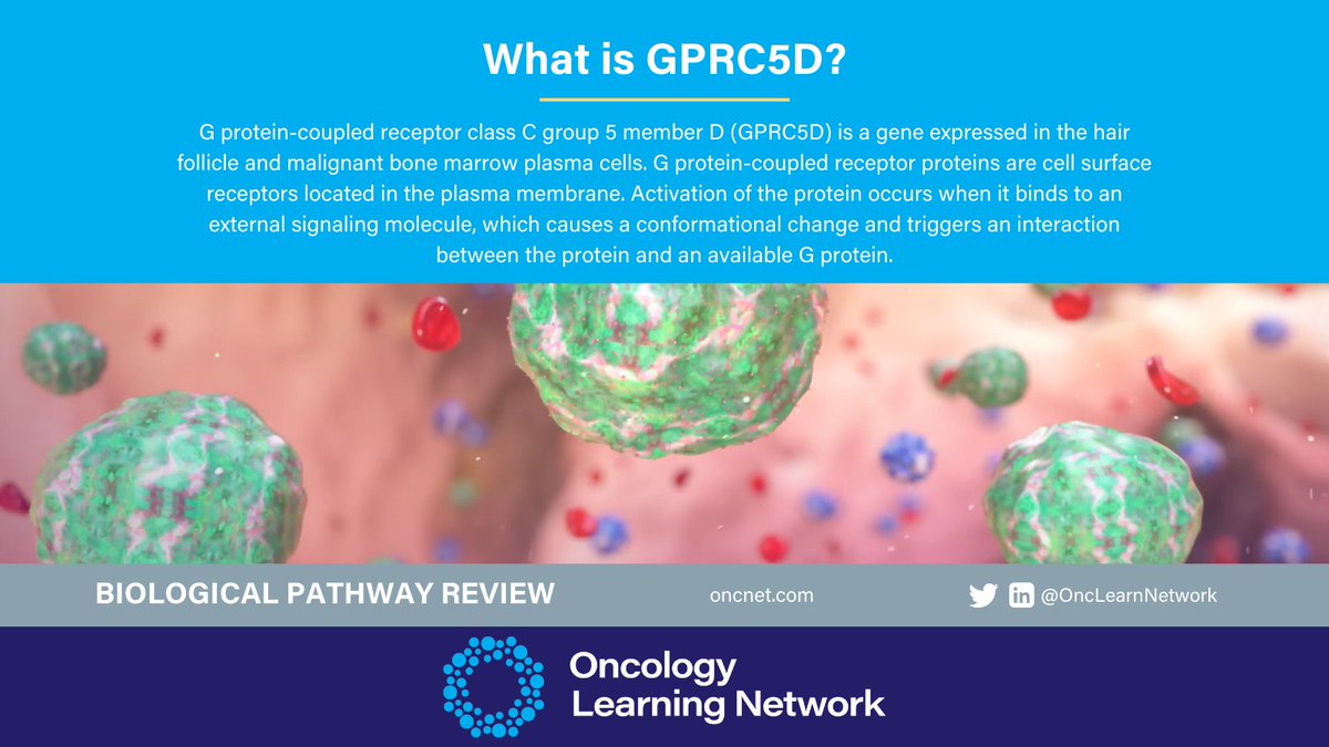 OncLearnNetwork's tweet image. Although the #GPRC5D gene is typically expressed in hair follicles, CD138-positive multiple myeloma cells have also been found to express GPRC5D. Learn more about the GPRC5D gene in its #BiologicalPathwayReview! hmpgloballearningnetwork.com/site/onc/biolo…