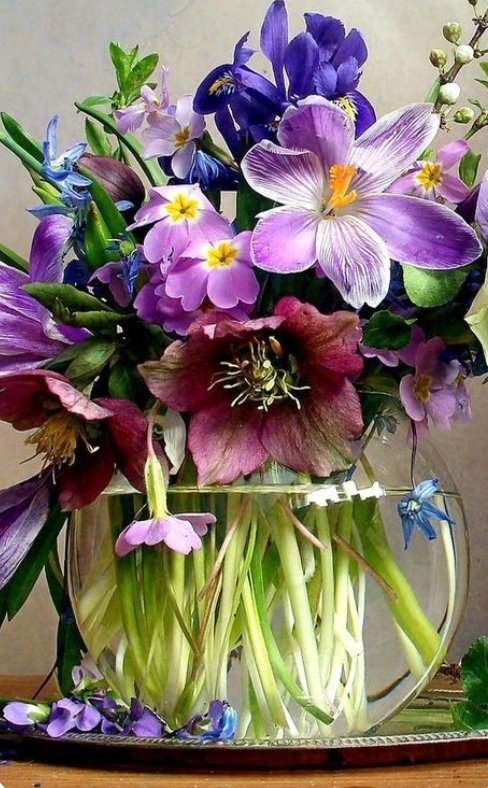 ruben_corella's tweet photo. #flores #fleurs #blossoms #bloomimg #Primavera #SpringBreak #springishere #springison #printemps #purple #purpleflowers #decor #decoration #art #artdeco #bouquet #purplemood #fiestadeprimavera https://t.co/mOdlMd4e0Y
