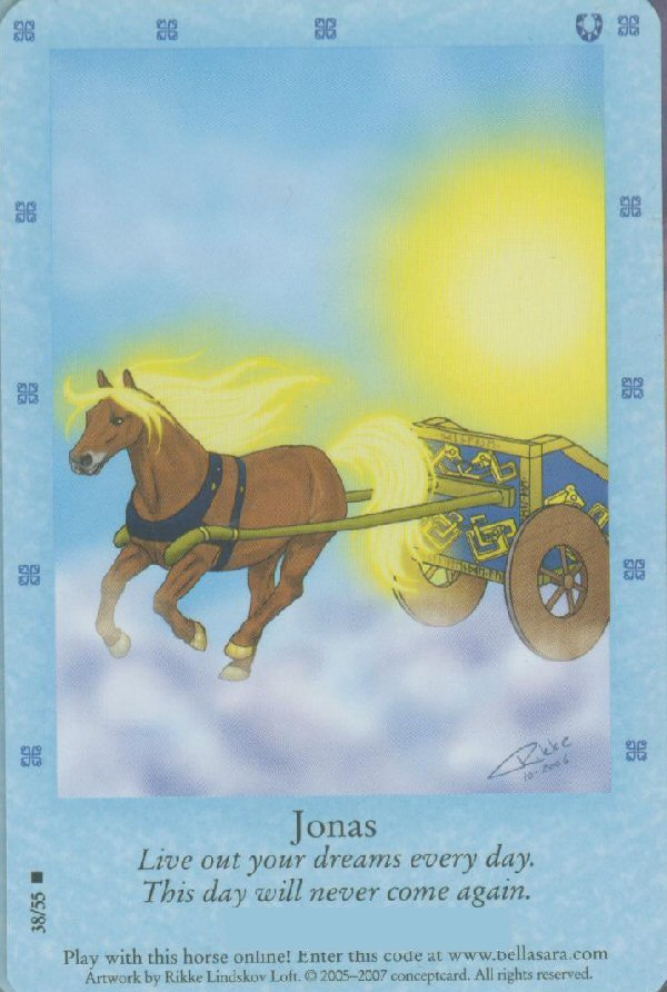 bellasarabot's tweet photo. Series: Northern Lights
Horse: Jonas
Message: Live out your dreams every day. This day will never come again. https://t.co/TnANO0WUC5