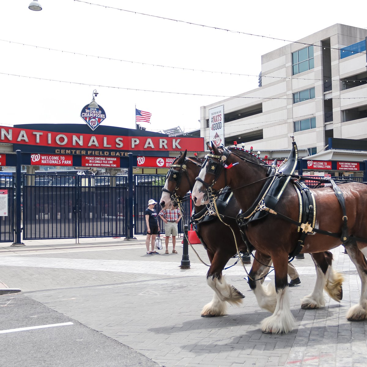 Washington Nationals tweet media