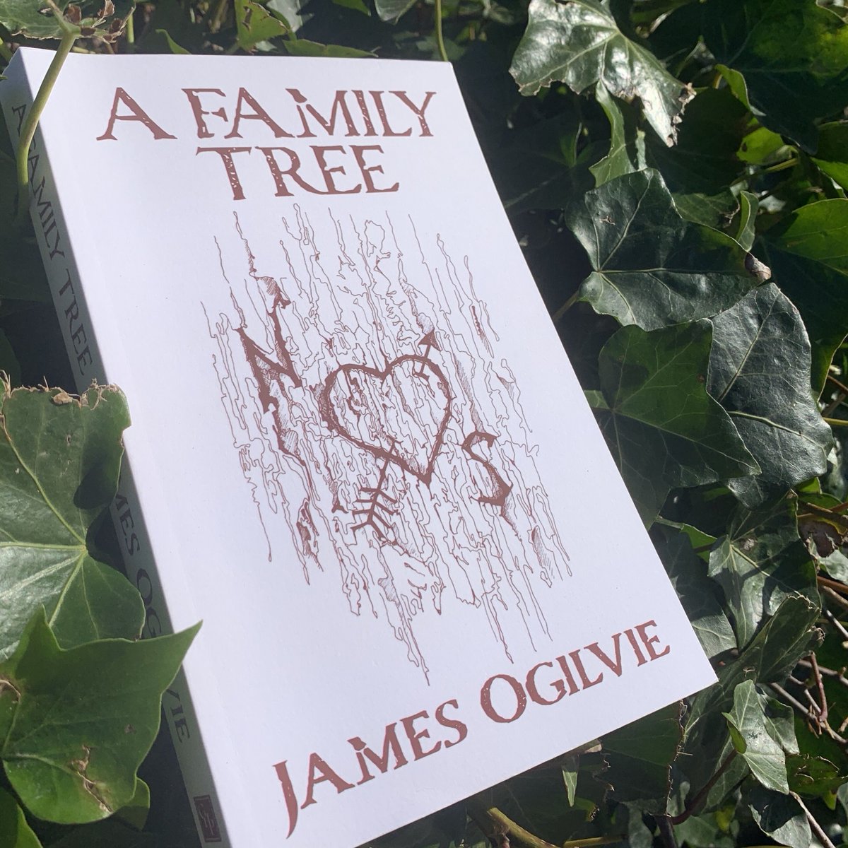 A very special arrival in the post today 🌳
We were delighted to receive the first copy of forester James Ogilvie's debut novel, A Family Tree, with cover artwork carefully designed by Kathryn!
Pre-order now: bit.ly/JamesOgilvie-A… or get in touch for your own custom artwork!