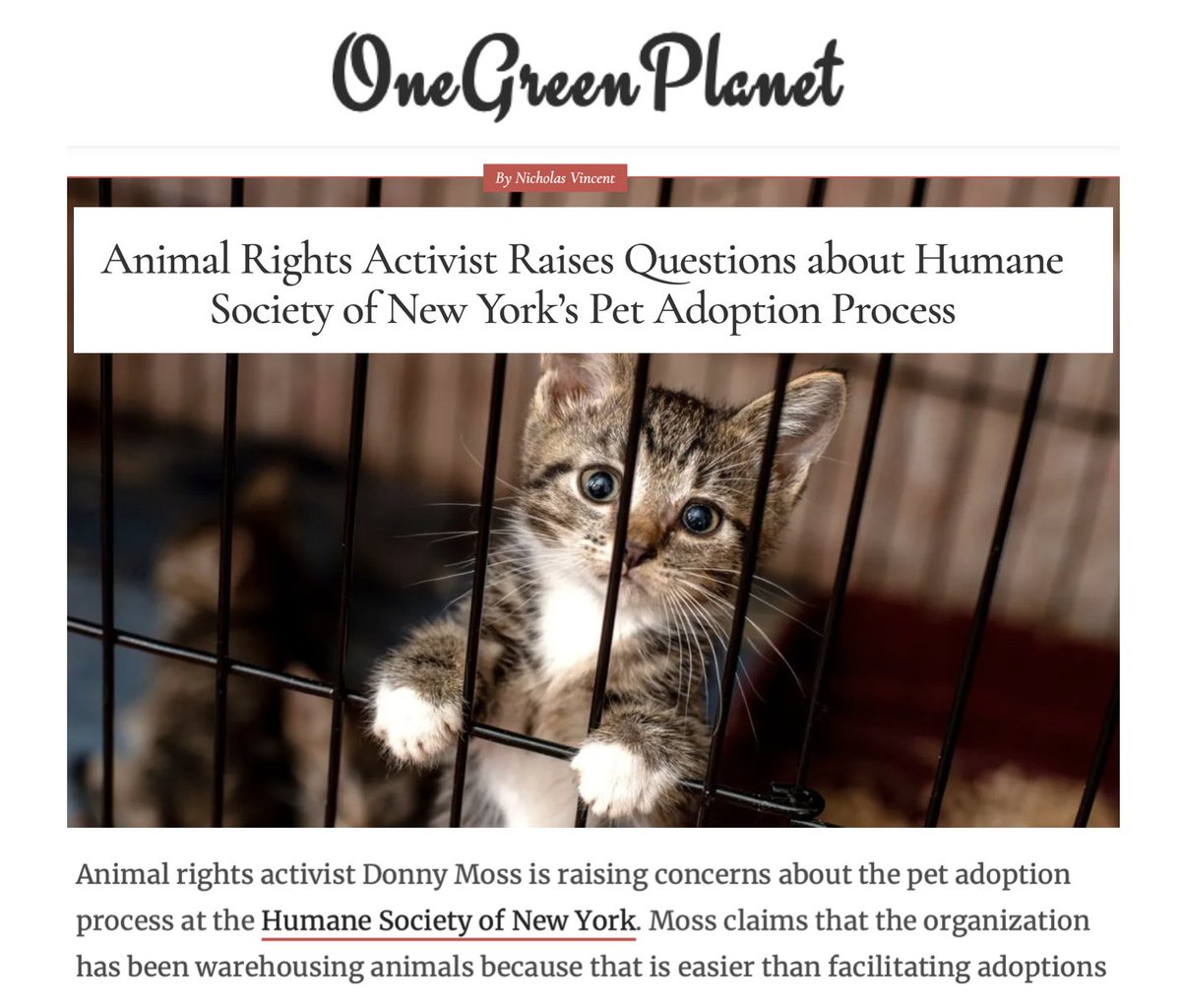 theirturn's tweet photo. A large and prominent animal shelter in NYC that takes in millions of dollars in donations each year has been warehousing animals for several years. @OneGreenPlanet has reported on the plight of the cats and dogs languishing in cages at the Humane Society of New York and the campaign by #AnimalRights activists to help them. #adoptdontshop #AnimalCruelty #BroadwayBarks 
https://t.co/mKvZaFso5M cc: @AnimalHaven @Bideawee @NYCACC @ASPCA @wendydiamond