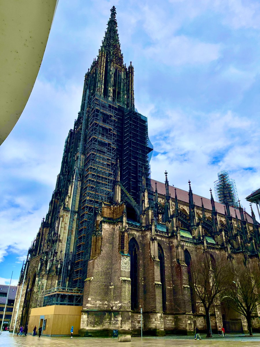 SystemsVirology's tweet image. Finally I am almost ready for GfV2023 @GesVirologie in Ulm🇩🇪 Looking forward to seeing you German/European virologists tomorrow!