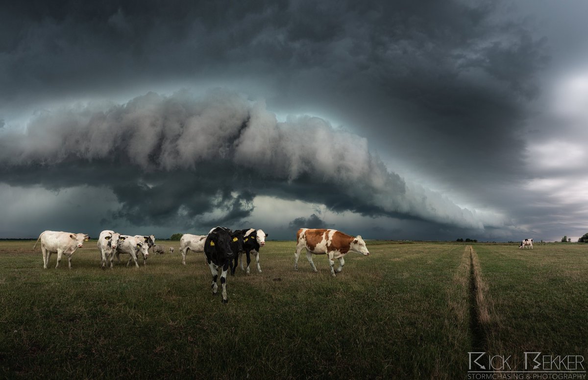 RBekker93's tweet photo. Nog meer convectief geweld. Ditmaal reizen we af naar Fryslân waar ik deze contrastrijke arcus boven het typische Hollandse polderlandschap heb onderschept. Is die stikstof toch nog ergens goed voor😜 https://t.co/XWGm5377vc