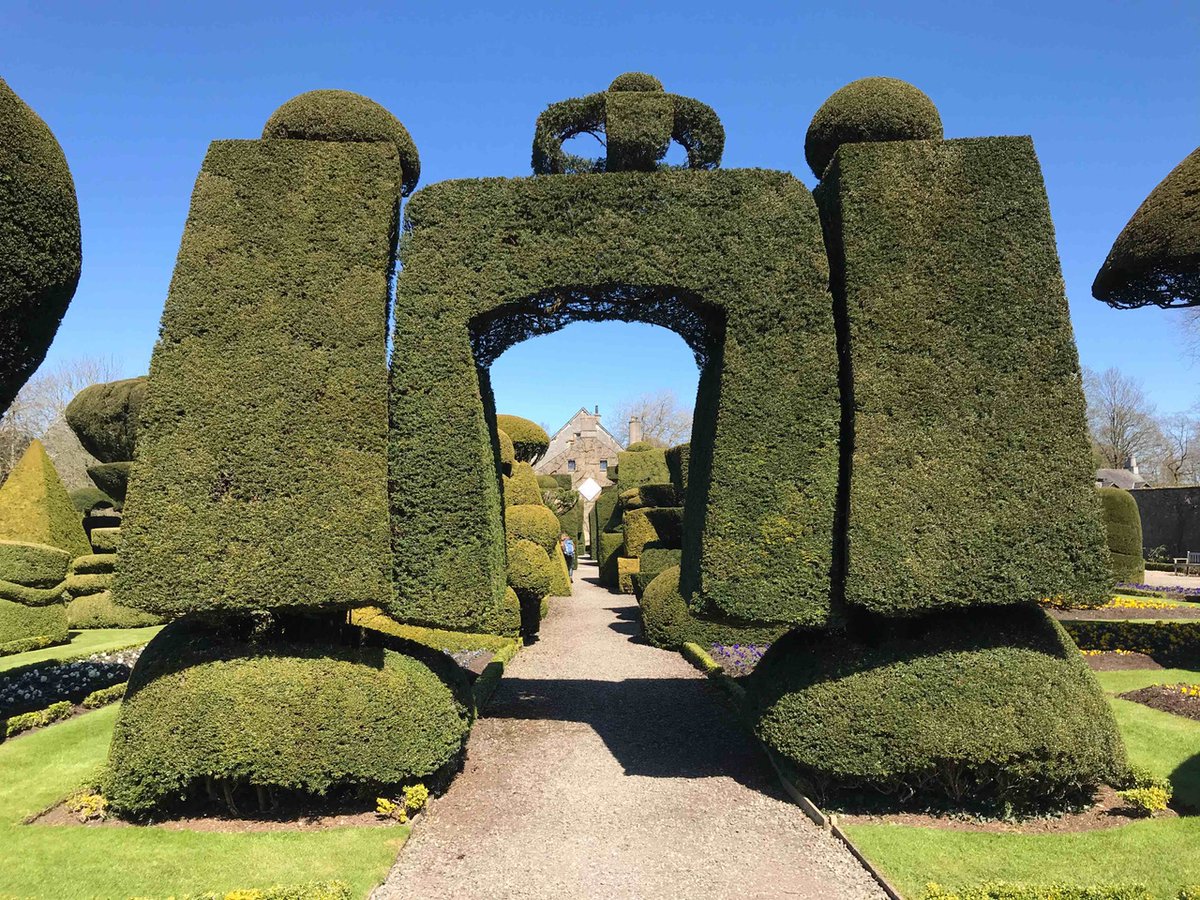 An apt photo for #WorldTheatreDay perhaps - just one feature in our very theatrical #topiary garden - the world's oldest and one ready to welcome you back again, as from reopening on Sunday, April 2.