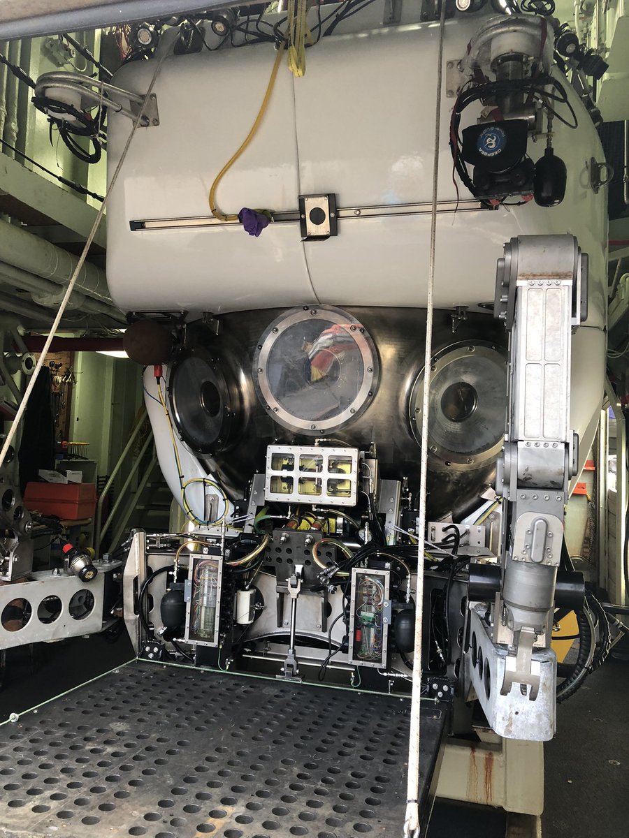 Dr_MTaylor's tweet photo. Want to see what goes into a #deepsea submersible dive in #Alvin in #GalapagosDeep2023 ? See here: https://t.co/QNhGrN9l7D Or follow me for the next 3wks. 🤩🪸@Uni_of_Essex @EssexLifeSci @BOPP_GeoChem @WHOI @darwinfound @parquegalapagos @inocarec @BoiseState @NSF @NERCscience https://t.co/TwIPzbmLHm