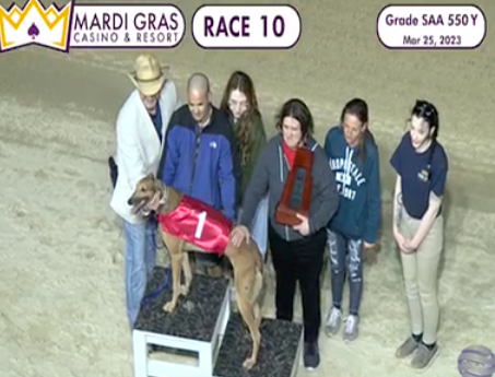 greyhoundchan's tweet photo. 2023 WVGOBA Juvenile Sprint Stake at Tri-State @MardiGrasWV https://t.co/emaqu1Xshz via @NGA_Greyhound #GreyhoundRacing #GreytAthletes #Stakes https://t.co/MOfds8iCea
