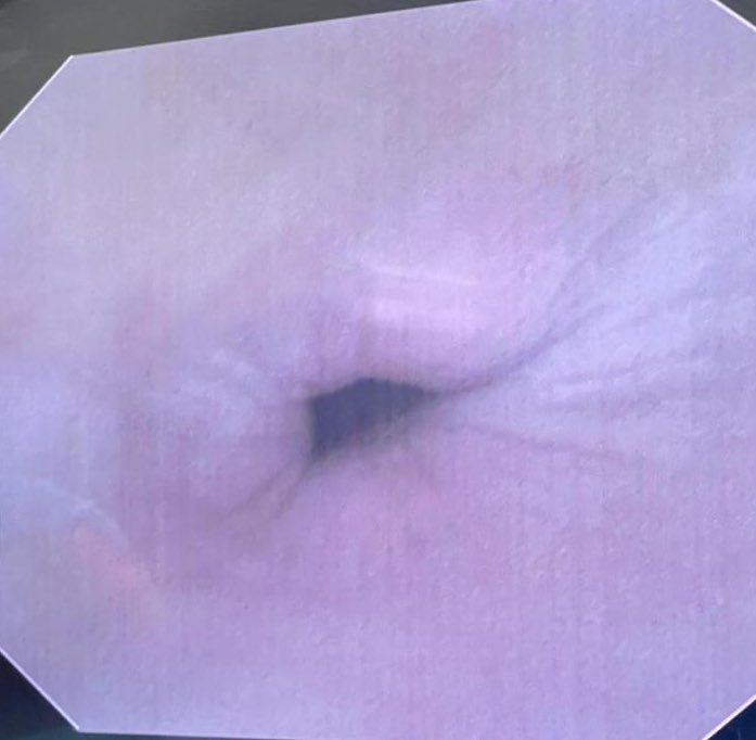 Hussein Ibrahim Gossadi حسين إبراهيم قصادي tweet media