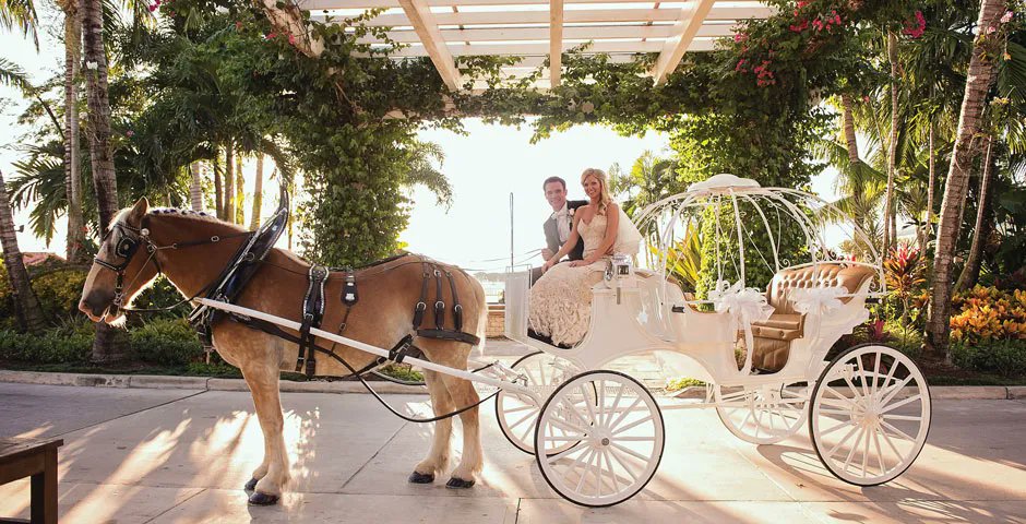 Wedding season is coming 🤩
Did you have your horse at your wedding or honor your equestrian passion in another way on your big day?
Send your photos for a chance to be featured to weddings@eqliving.com 💍 🐴
buff.ly/3ySKJI7