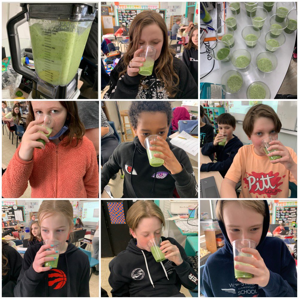 Students are learning about @CanadaFoodGuide and creating healthy eating habits, so I decided to make them a delicious smoothie with bananas, spinach and coconut milk. Most of the students like it and some wanted seconds. @WmountElem #smoothies