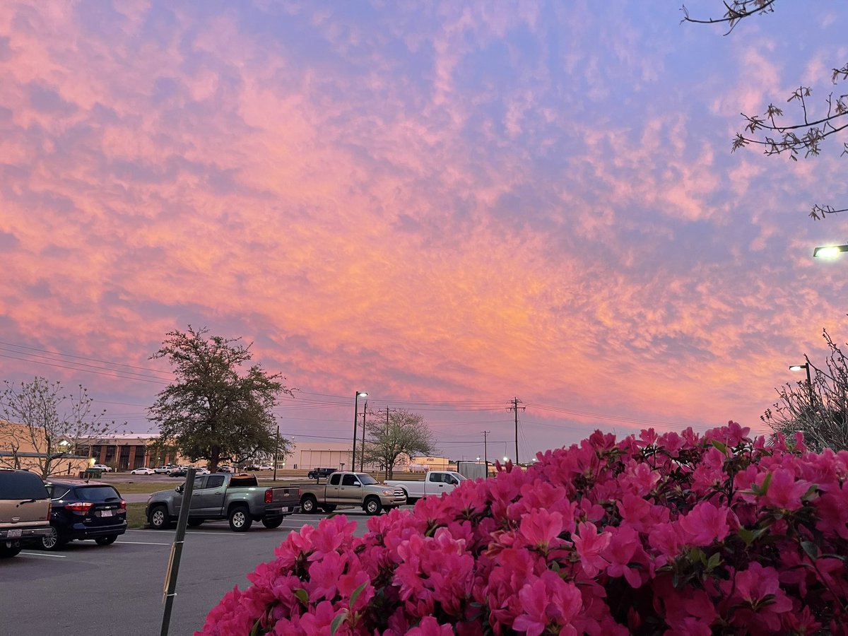 Azaleas are blooming. The beautiful sunsets are stretching further into the evening. Sure enough, spring is here. April is coming. #ncwx #scwx #ILMwx