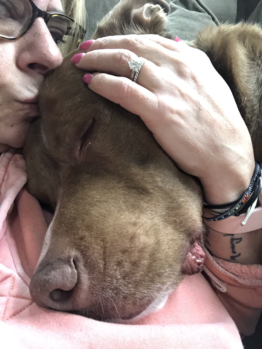 Deborah Lamoot tweet media