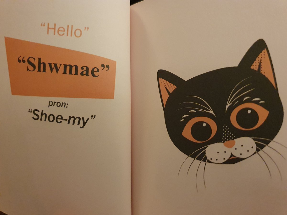 NiceCupTea's tweet photo. Controversially, I've always pronounced this as shu-my, not as elongated as shoe-my. But written down it might look more like shummy, which it just isn't.
#WelshCat https://t.co/tZ7fJxqVTw