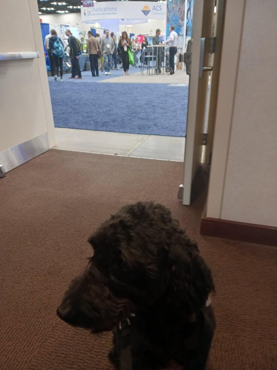 JeanLodgeBAMF's tweet photo. @icclos I wasnt allowed to access #ACSSpring2023 expo and posters until I had permission and could provide rationale for my perfectly behaved service dog. #DiversityandInclusion ?? They wanted to make sure he wasn't a liability. He behaves better than most people. https://t.co/nlWAaQQSMl