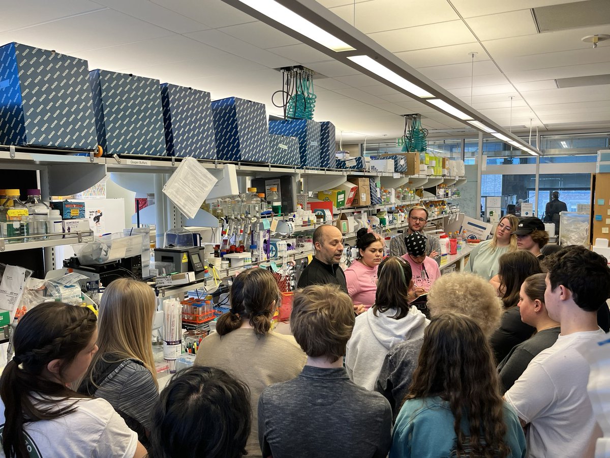 Chris Chou tweet media