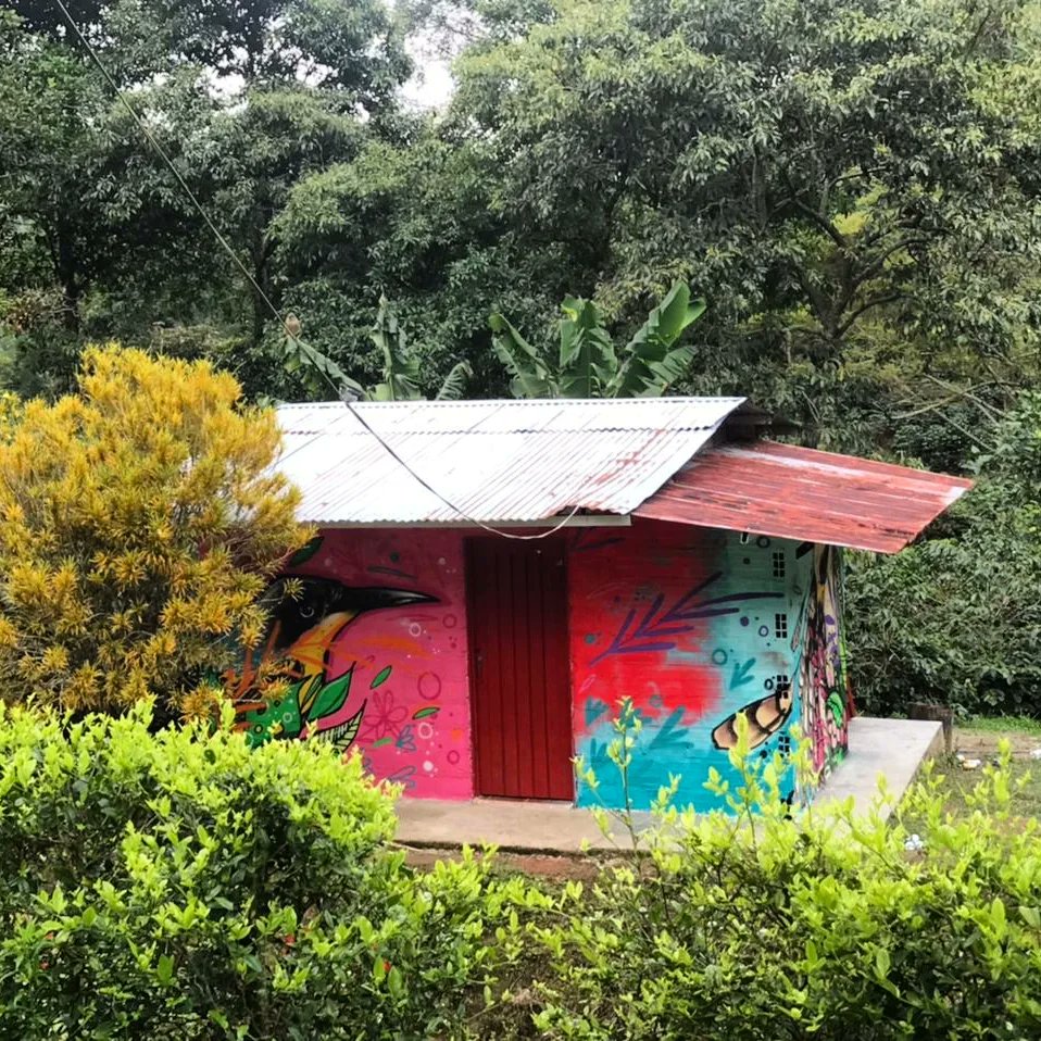 KpoBta's tweet photo. La esencia del Huila se puede apreciar en este mural del CARRIQUI Y EL BARRANQUERO, donde el café y la naturaleza son los protagonistas.
🔆

#MuralHuila

#CaféHuila

#AvesHuila

#NaturalezaHuila

#CulturaCafetera

#ArteMural

#StreetArtColombia

#BiodiversidadHuila

#Turismo https://t.co/f62Ap4gmEo