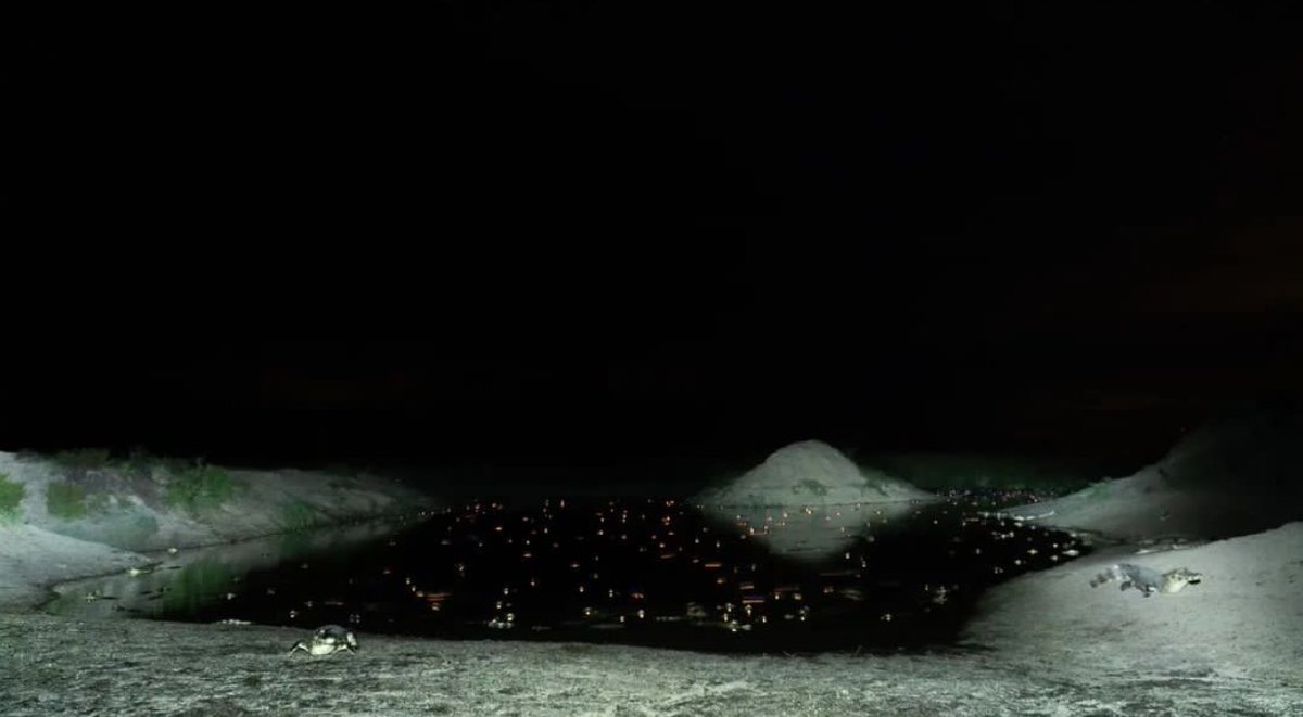 AMBLUISM's tweet image. Lo que se ve en esta imagen son cientos de miles de ejemplares de Yacaré que se resguardan en un pozo con agua hecho de manera artificial en zona del Ibera, #Corrientes. Un pozo que comparte con otras especies de la zona. En la otra imagen un ciervo que lo mataron con un disparo.