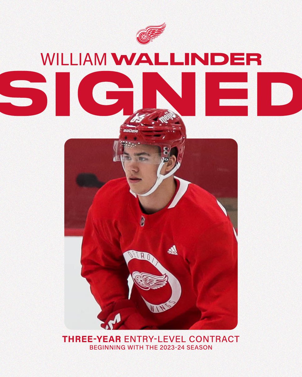 Detroit Red Wings tweet media