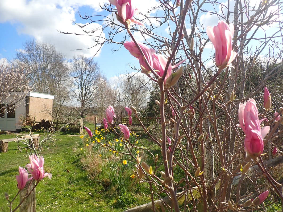 BHAPottingSheds's tweet photo. Discussing current resources for pollinators and plans to expand our activities to increase biodiversity @BredonHAcademy . 
💚🐝🦋🐞 https://t.co/Tqw828OSwc