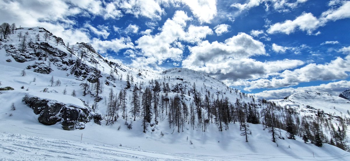 TourTheSki's tweet photo. #Nassfeld pod śniegową pierzynką poleca się na koniec marca 😎😍🇦🇹❄️
#visitcarinthia #visitnassfeld #śnieg #marzec #Austria #narty #ski #skiing #tourtheski #takawionelubimy #whataview #nicesurprise #happytime https://t.co/8m2ayzfmMa