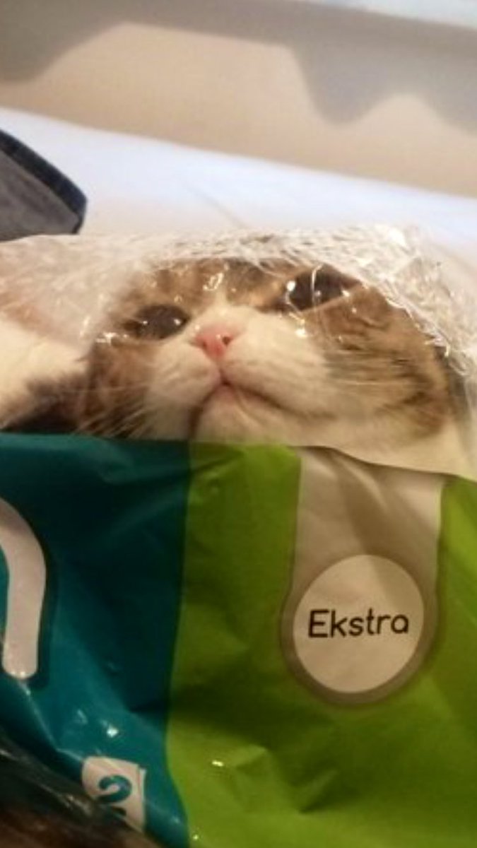 Arkadaşımın arkadaşının kedisini yıllardır takip ediyorum.Beni tanımıyorlar ama ekran fotoğrafım Limon