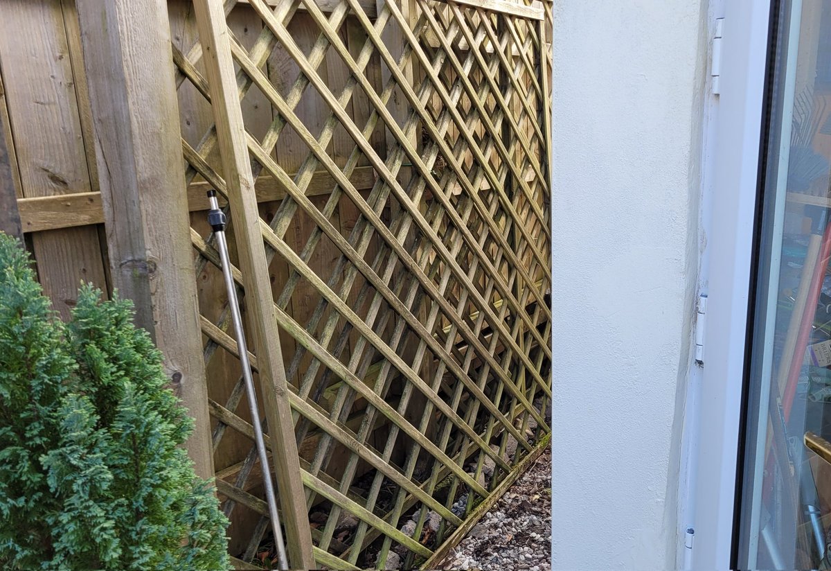 Steve Gane tweet media