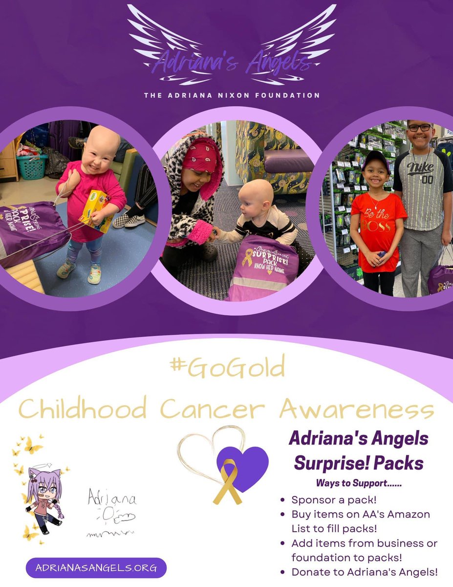 _AdrianaStrong's tweet photo. Adriana’s Angels Surprise! Pack Amazon List >> https://t.co/nu2I0yjpwz has been updated.  

We have over 15 pack requests to fill for children recently diagnosed with cancer.  

Please help us fill our packs! 💜🦋🖤📦♾ https://t.co/GVWXbEGadV