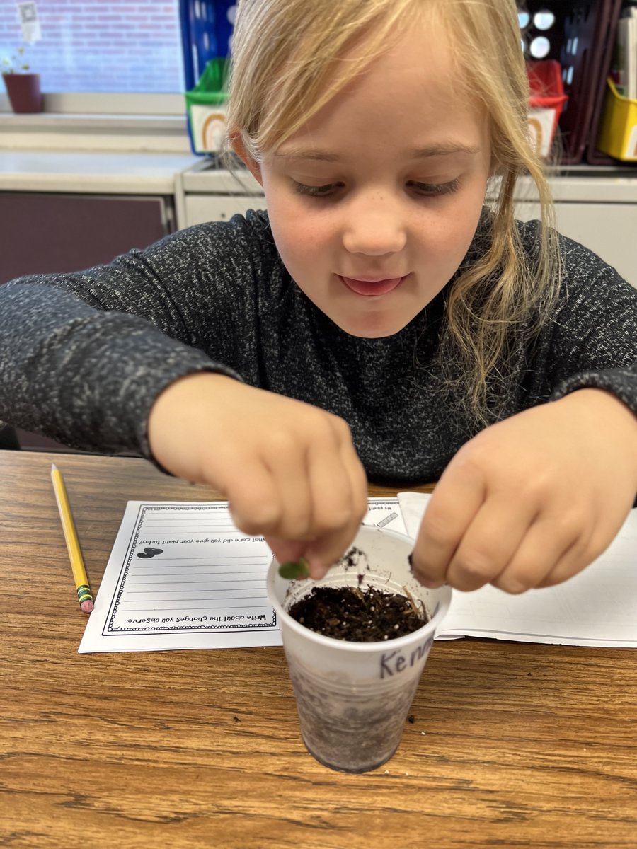 Shelly Butcher tweet media