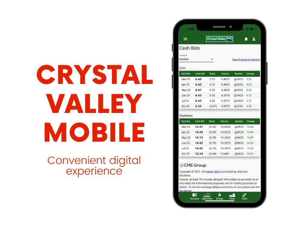 Crystal Valley tweet media