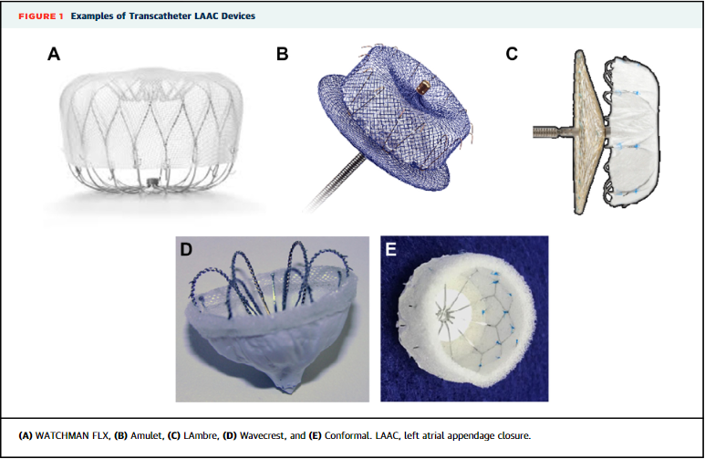 JACCJournals's tweet photo. New statement from @SCAI/@HRSonline, endorsed by @ACCinTouch, identifies transcatheter #LAAC as appropriate for pts w/ nonvalvular #AFib w/ high thromboembolic risk who are not suited for long-term OAC & have life expectancy >1yr https://t.co/6P3hxvgh9P

#JACCINT #CardioTwitter #DOAC #NCDR #LAAORegistry