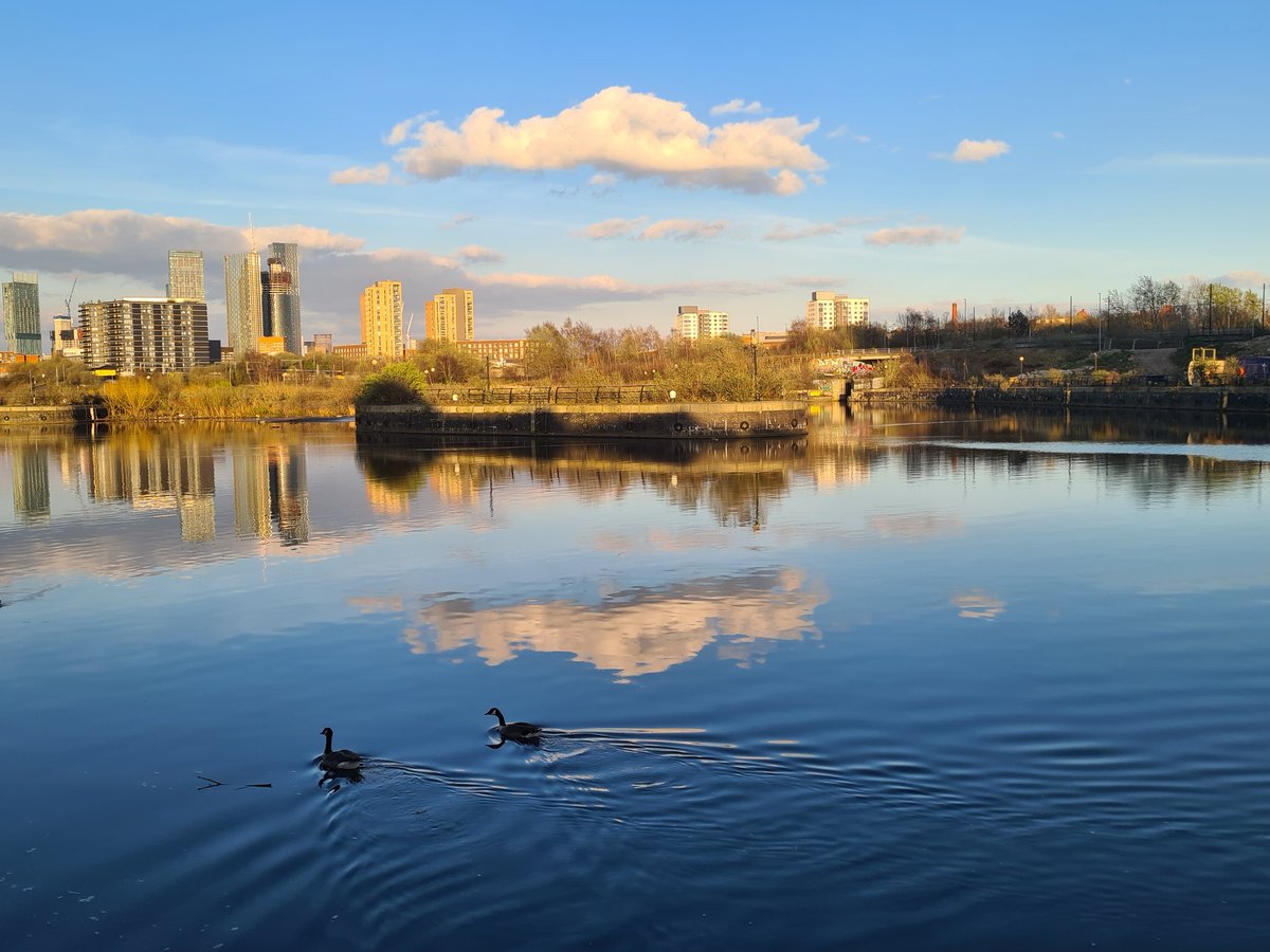 mirandamclarke (@mirandaclarke) on Twitter photo Some tranquillity around Pomona Island but the concrete jungle is coming - so sad, we are going to be in trouble when we have built over every permeable and green surface #pomonaisland #naturebasedsolutions #climatechange <a href="/SalfordCouncil/">Salford City Council</a> <a href="/TraffordCouncil/">Trafford Council</a> <a href="/ManCityCouncil/">Manchester City Council</a> Some tranquillity around Pomona Island but the concrete jungle is coming - so sad, we are going to be in trouble when we have built over every permeable and green surface #pomonaisland #naturebasedsolutions #climatechange <a href="/SalfordCouncil/">Salford City Council</a> <a href="/TraffordCouncil/">Trafford Council</a> <a href="/ManCityCouncil/">Manchester City Council</a>