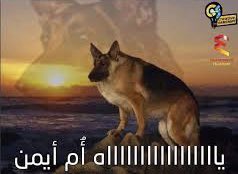 Zahran_SA_'s tweet photo. @ur0f_ https://t.co/D7VtZePWEQ