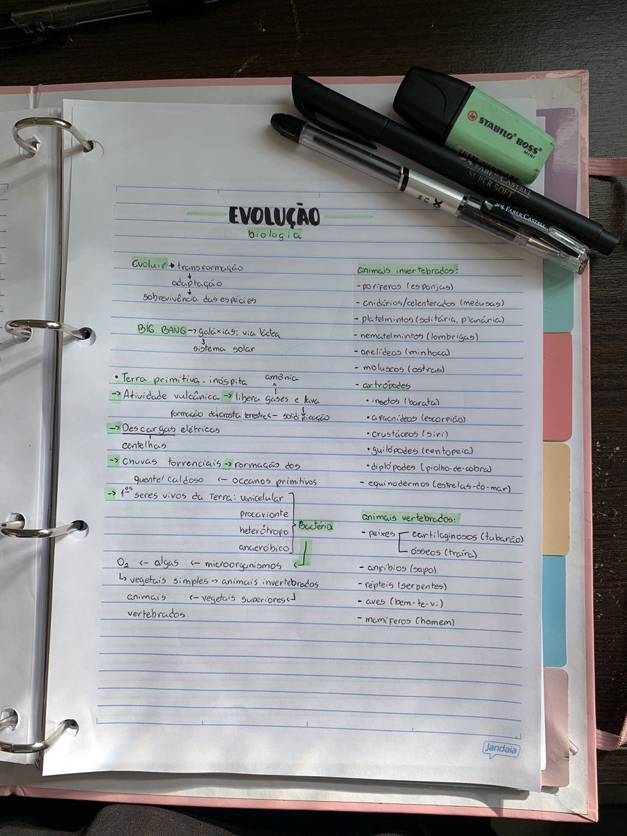 i87mi's tweet image. anotação em aula // anotação final 💚